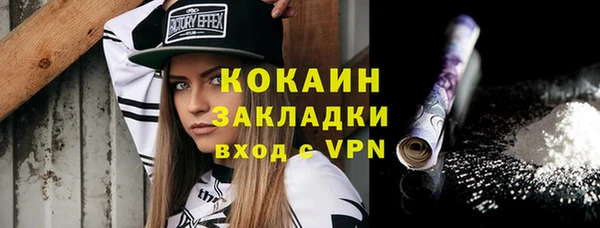 бошки Богданович