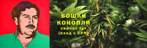 бошки Богданович