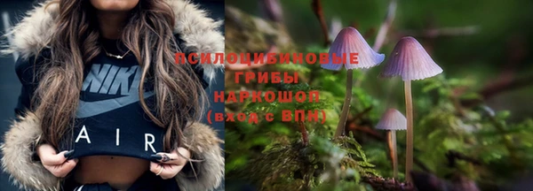 а пвп мука Богородск