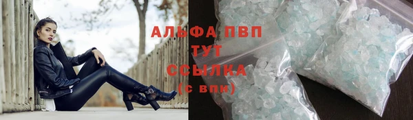 бошки Богданович