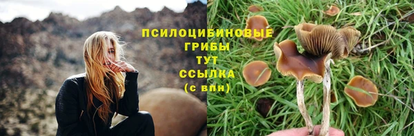 бошки Богданович