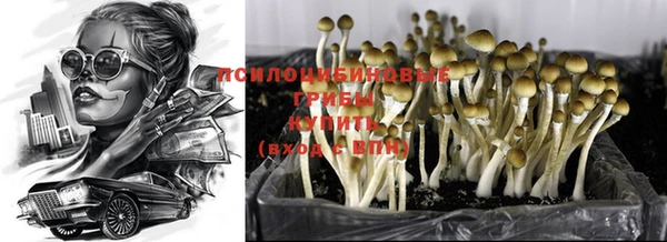 МДМА Протвино